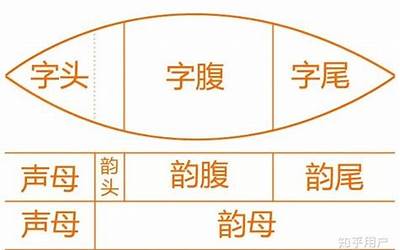 字头是什么意思(如何区分字头、字腹、字尾)