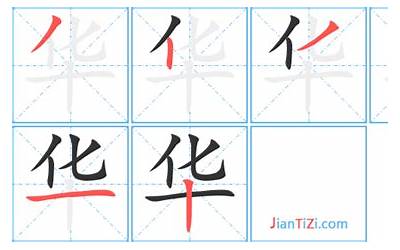 华字几画(汉字华怎么写)