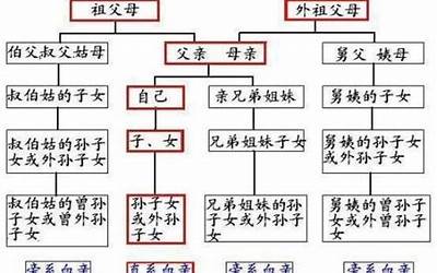 排辈分怎么排(家族辈分排字应该怎么排)