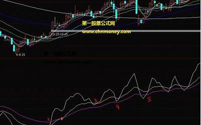 210001(210001股票股价)