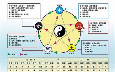 阴阳的属性是(中医药学概论)