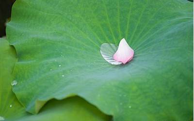 晚上碰(我老公四个月没有跟我在一起性生活前天他晚上碰了我两)