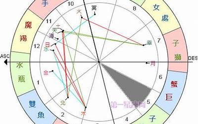 第五宫(详解第五宫在占星学中的意义)