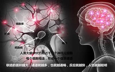 烧脑是什么意思(烧脑是什麼意思)