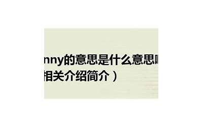 sunny的中文(sunny是什么意思)