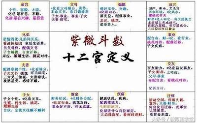 财帛宫化权(紫微斗数如何看财运)