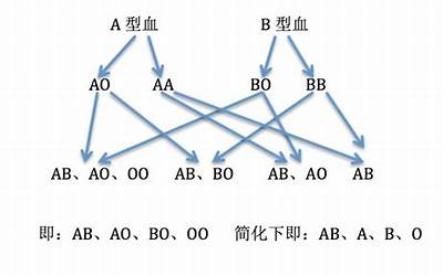 血型和性格的关系(什么血型决定什么脾气)