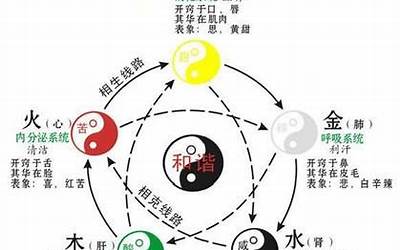 中宫(注解、中宫是什么、脏腑、中医学)