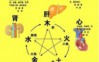 五行火旺(五行火太旺会有什么影响)