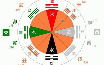 甲属什么五行(甲在五行中属什么)