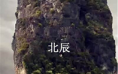 杀师地(杀师地都有什么种类)