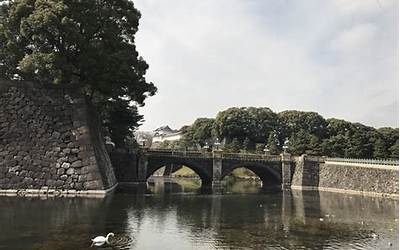 居外(居外地址指的是什么)