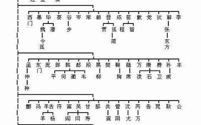 姓氏起源和来历(你的姓氏从哪里来)