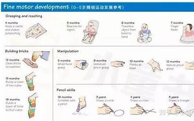 婴儿手(婴儿手的动作发育有哪些规律)