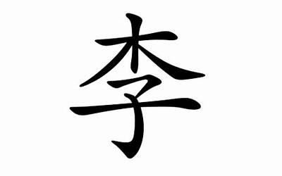 李姓名字(李姓姓名大全)