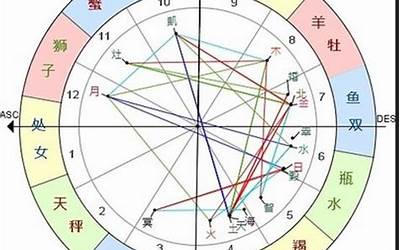 下降星座是什么(下降星座什么意思)