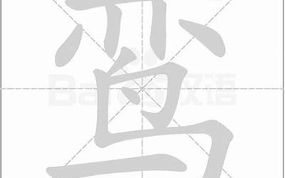 亦鸟(这个字念什么)