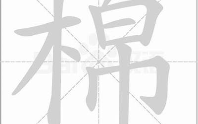 木甚念什么(木字旁加一个甚念什么字)