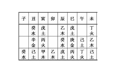 地支藏干表(十天干地支藏干表)