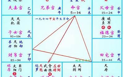 庙旺(紫微斗数排盘中的庙旺是什么意思)