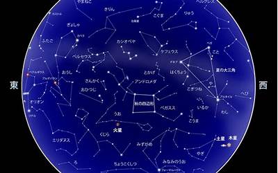 8月星座(8月是什么星座)