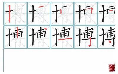 博字怎么写(博字笔顺、笔画)