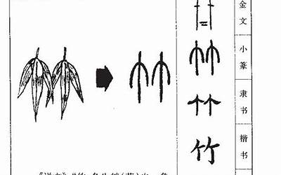 带竹的名字(竹字起名搭配什么字)