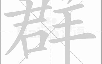 群的部首(群字的部首是什么)