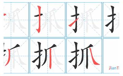 抓住的抓怎么写(抓字笔画、笔顺、笔划)