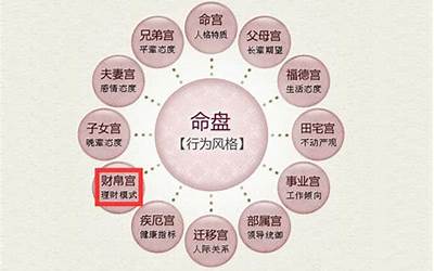 财帛宫太阳(太阳星坐守十二宫财帛宫是什么意思)