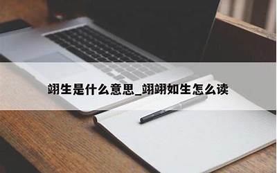 翊翊(翊翊是什么意思)