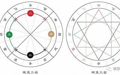 三合木局(三合木局对哪些人比较好)