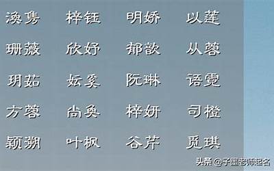 兔宝宝名字(兔年宝宝取什么名字好听)