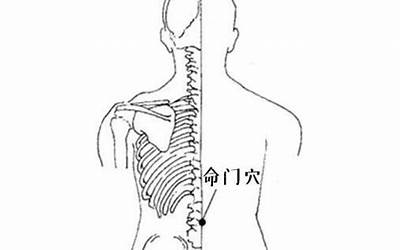 命门在哪个位置(应该是什么位置)