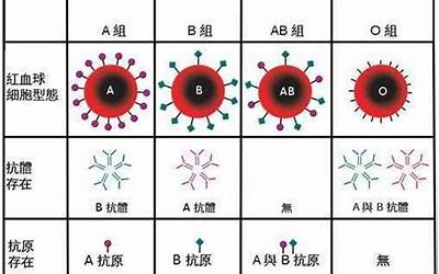 血型星座(不同血型对应的星座)