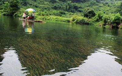 水过河(梦见河水并过河有什么预兆)