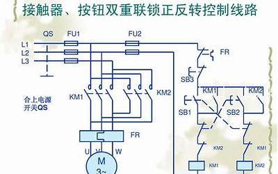 正反(正反什么意思)