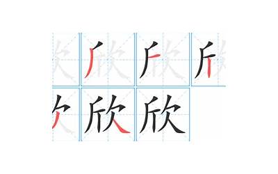 欣的笔画(欣字正确写法)