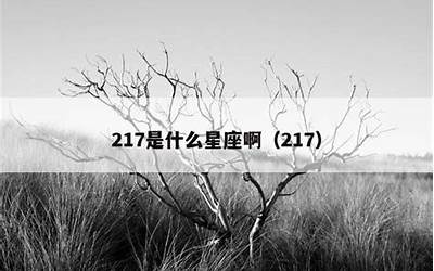 217是什么意思(217代表什么意思)