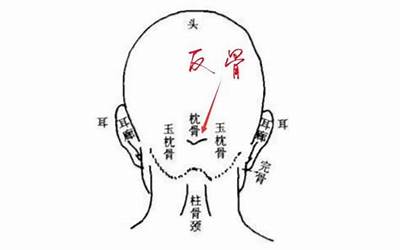 反骨(天生反骨为古之大忌)