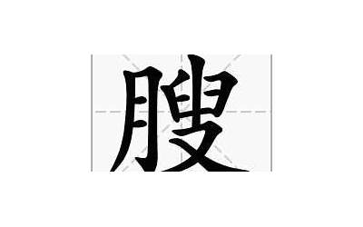 月加完念什么(月字旁加一个完念什么)