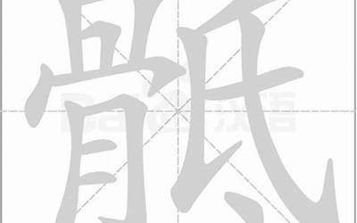 骨字旁(骨字旁的字有哪些)