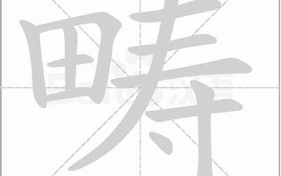 一个田一个寿(田字旁加一个寿念什么)