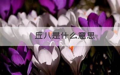 丘八(丘八是什么意思)