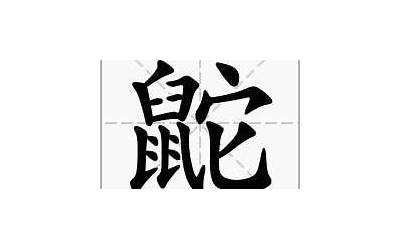 鼠日安读什么(鼠字旁加上日下安是什么字)