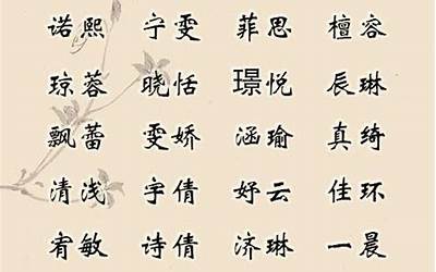 漂亮的名字(女孩漂亮的名字大全)