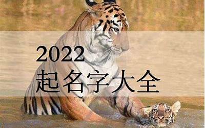 带火的名字男孩(2022年虎宝宝取名测名)