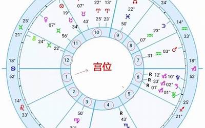 宫位代表什么(星盘里的宫位是什么)