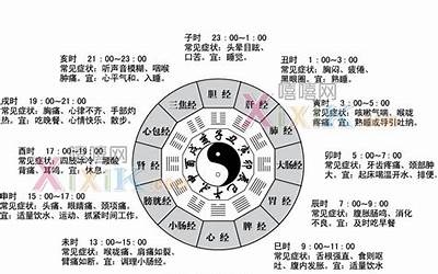 24小时的时辰表(24小时对应12时辰)