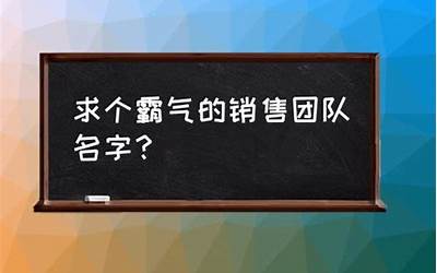 霸气的团队名字(队伍名字大全要霸气)